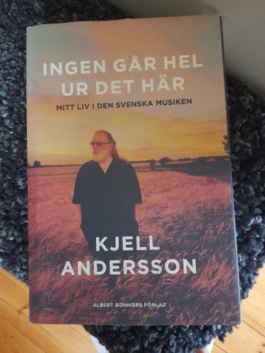 Ingen går hel ur det här av Kjell Andersson