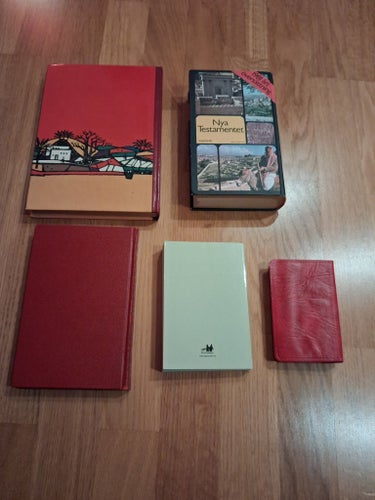 5 st BIBLAR
