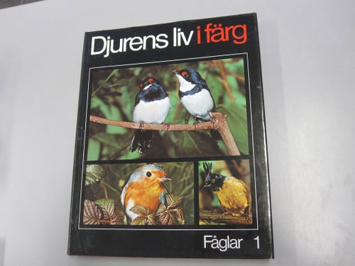 Djurens liv i färg 5 - Fåglar 1