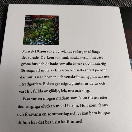 Rosa & Liksom : en kattbok