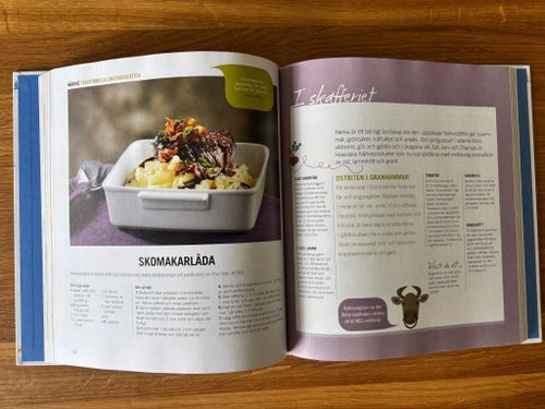 Bok - Sveriges Nya Landskapsrätter - från 2010