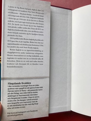 RENIAS DAGBOK Renia Spiegel 2020