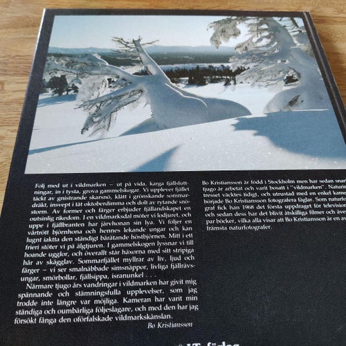 Vildmark : med kamera i skog och på fjäll