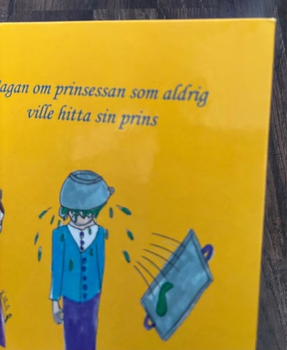 Sagan om prinsessan som aldrig ville hitta sin prins av Mia Maria Rosénqvist