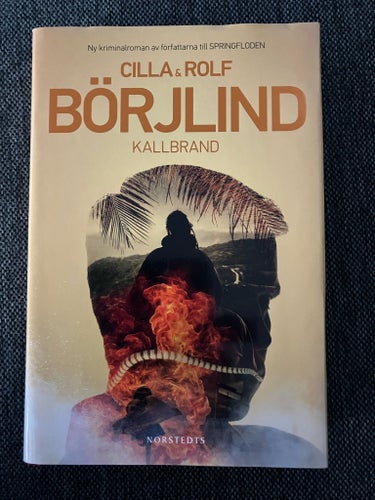 Kallbrand av Cilla & Rolf Börjlind, 2016