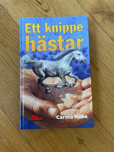 Ett knippe hästar av Carina Rabe, Pollux, häst