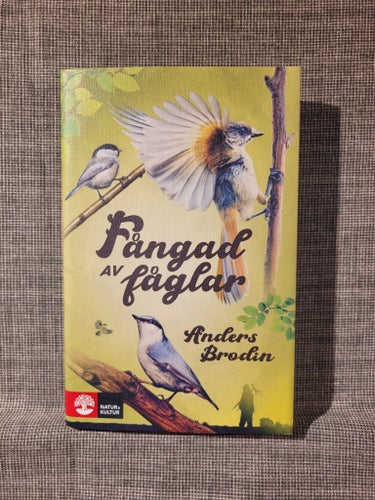 Fångad av fåglar av Anders Brodin, 2023