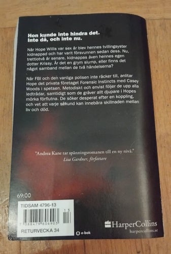 Flickan som försvann av Andrea Kane, 2017