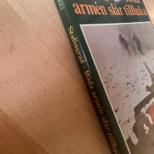 Stalingrad- Röda armén slår tillbaka