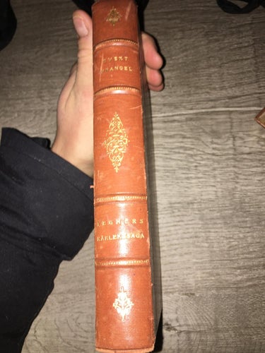Tegners kärlekssaga Wrangel omslag medbundna