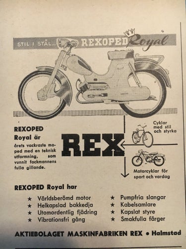 Rex Rexiprf Royal 1960 annons