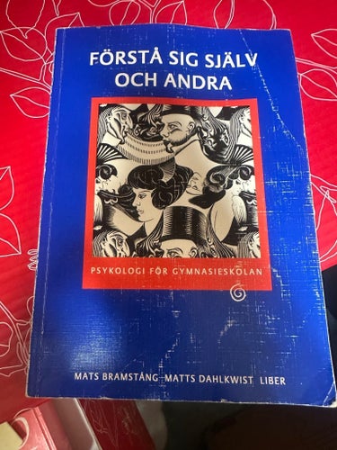 Förstå sig själv och andra - Mats Bramstång, Matts Dahlkwist
