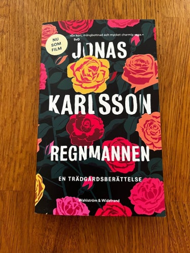 Regnmannen av Jonas Karlsson pocket