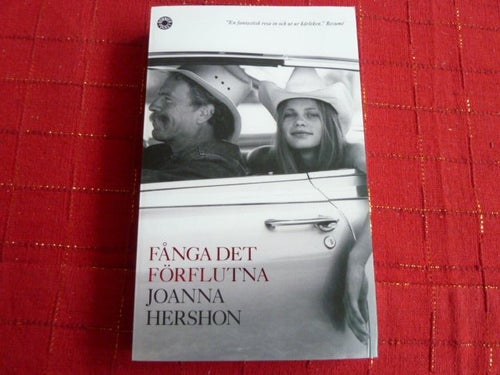 FÅNGA DET FÖRFLUTNA, JOANNA HERSHON, 2006, BOK, BÖCKER