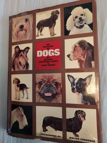 Bok The Treasure of DOGS 1964 Golden Press Bredd 21,5 Höjd 30 cm
