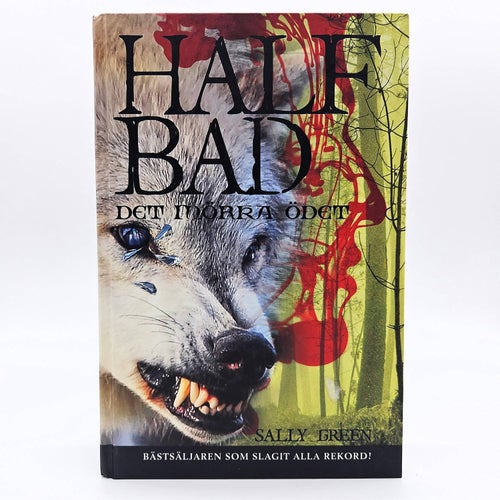 Half bad: Det mörka ödet - Sally Green