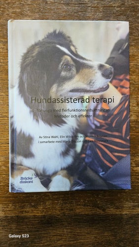Hundassisterad terapi - för unga med flerfunktionsnedsättningar