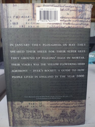 Bok historia The Year 1000 av Robert Lacey & Danny Danziger, 2000