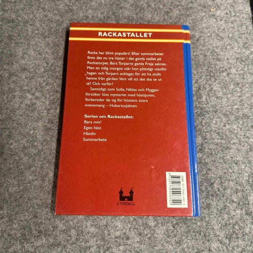 Lin Hallberg - Egen häst - Rackastallet