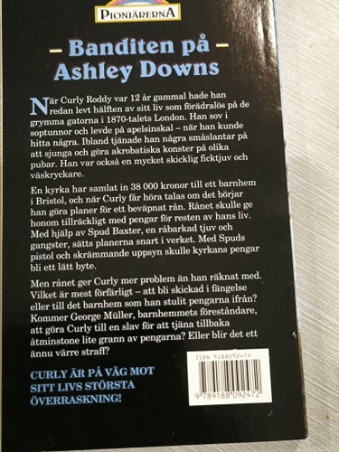 Banditen på Ashley Downs