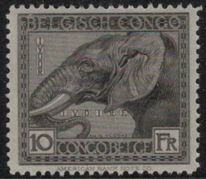 Belgiska Kongo Mi 77 Elefant 10 franc 1923/24 ostämplat