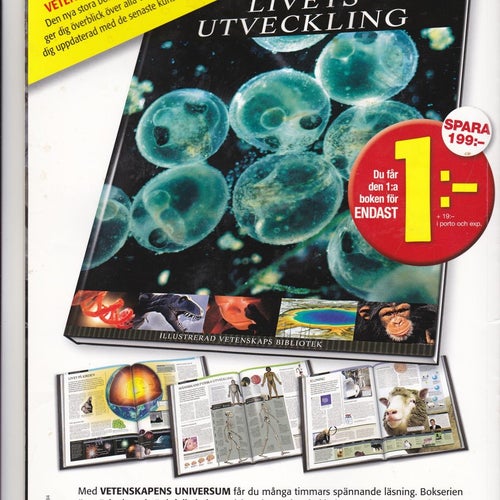 Världens Historia #6, 2010 / Bra skick