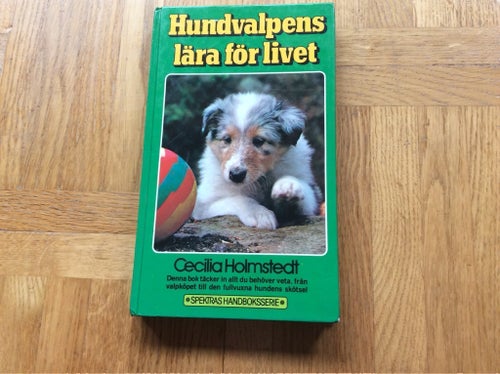 HUNDVALPENS LÄRA FÖR LIVET