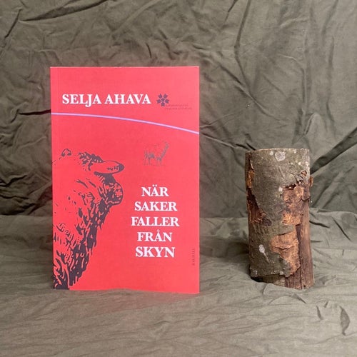 När saker faller från skyn av Selja Ahava