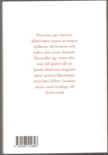 Mirjams resa hennes klännings isstavs larv / Eva Kristina Olsson