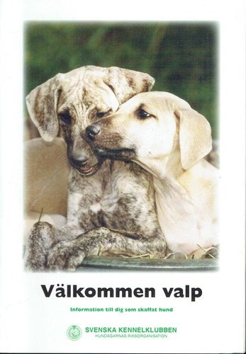Välkommen valp