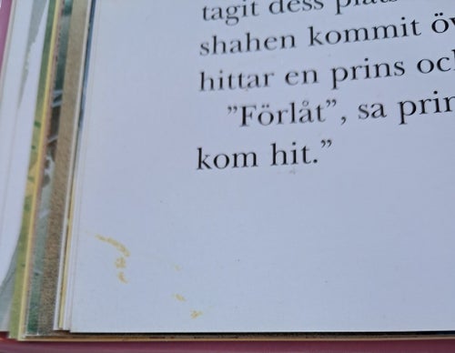 Stora Sagoboken All Världens Prinsessor
