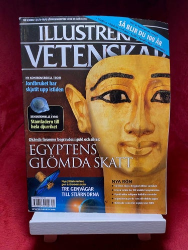 Illustrerad vetenskap - Egyptens glömda skatt (Nr5/2006)
