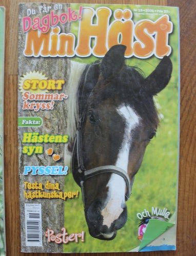 MIN HÄST 2006 NR 19
