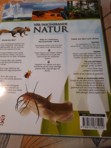 Vår Fascinerande Natur
