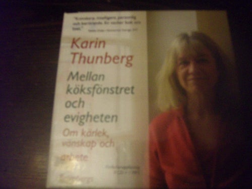 CD-bok: Mellan köksfönstret och evigheten - Karin Thunberg