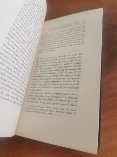 A journal of the terror daniel defoe good
