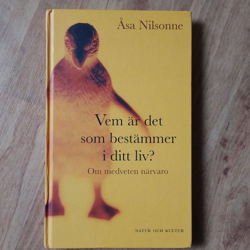 Vem är det som bestämmer i ditt liv? Om medveten närvaro av Åsa Nilsonne, 2004
