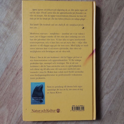 Vem är det som bestämmer i ditt liv? Om medveten närvaro av Åsa Nilsonne, 2004