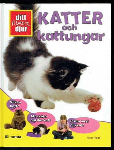 Ditt favoritdjur - Katter och kattungar