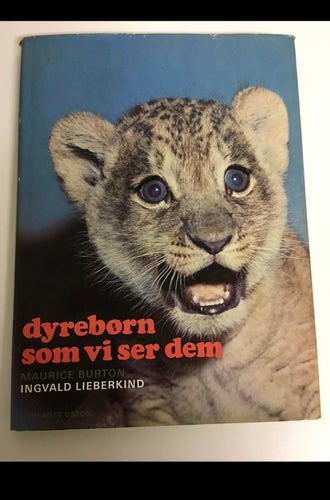 Djurungar som vi ser dem av Ingvard Liberkid