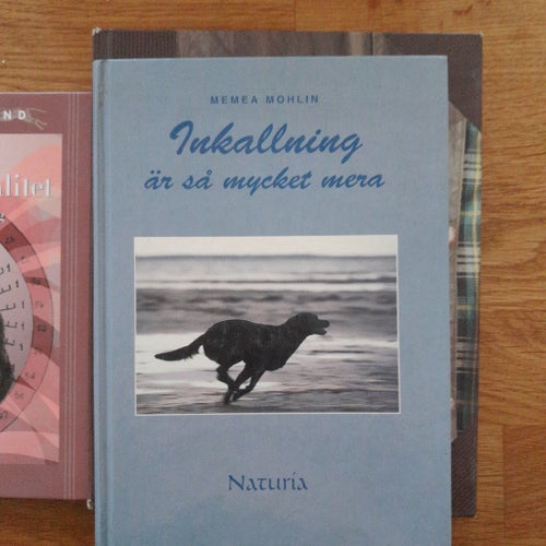 Bokpaket Hund. Fågelhundar, inkallning, mentalitet.