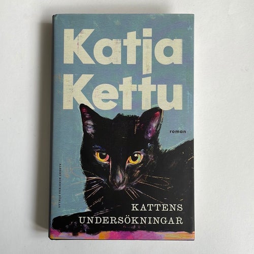Kattens undersökningar av Katja Kettu