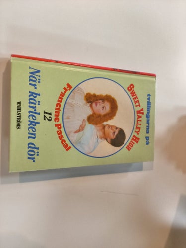 När kärleken dör av Francine Pascal, 1989
