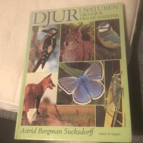 Djur i naturen - Astrid Bergman Sucksdorff