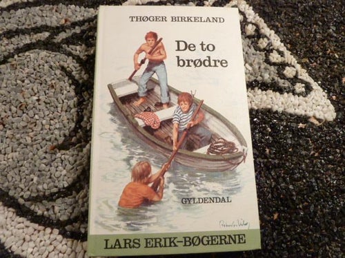 DE TO BRØDRE, THØGER BIRKELAND, 1979, BOG, BOK PÅ DANSKA
