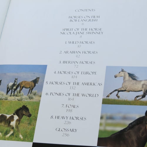 Spirit of the Horse av Bob Langrish & Nicola Jane Swinney