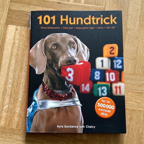 101 Hundtrick — den kompletta boken om hundtrick med foton och tydliga instrukti