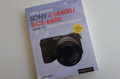 DAVID BUSCH'S SONY a6600/ ILCE-6600 GUIDE TO DIGITAL PHOTOGRAPHY