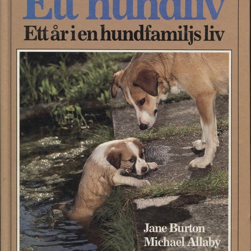 Ett hundliv : ett år i en hundfamiljs liv