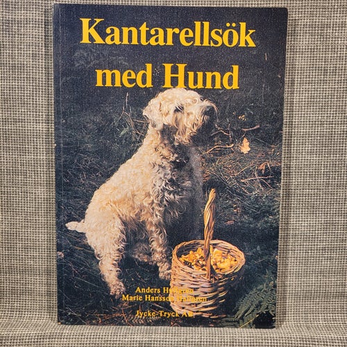 KANTARRELLSÖK MED HUND av Anders Hallgren och Marie Hansson, 1990